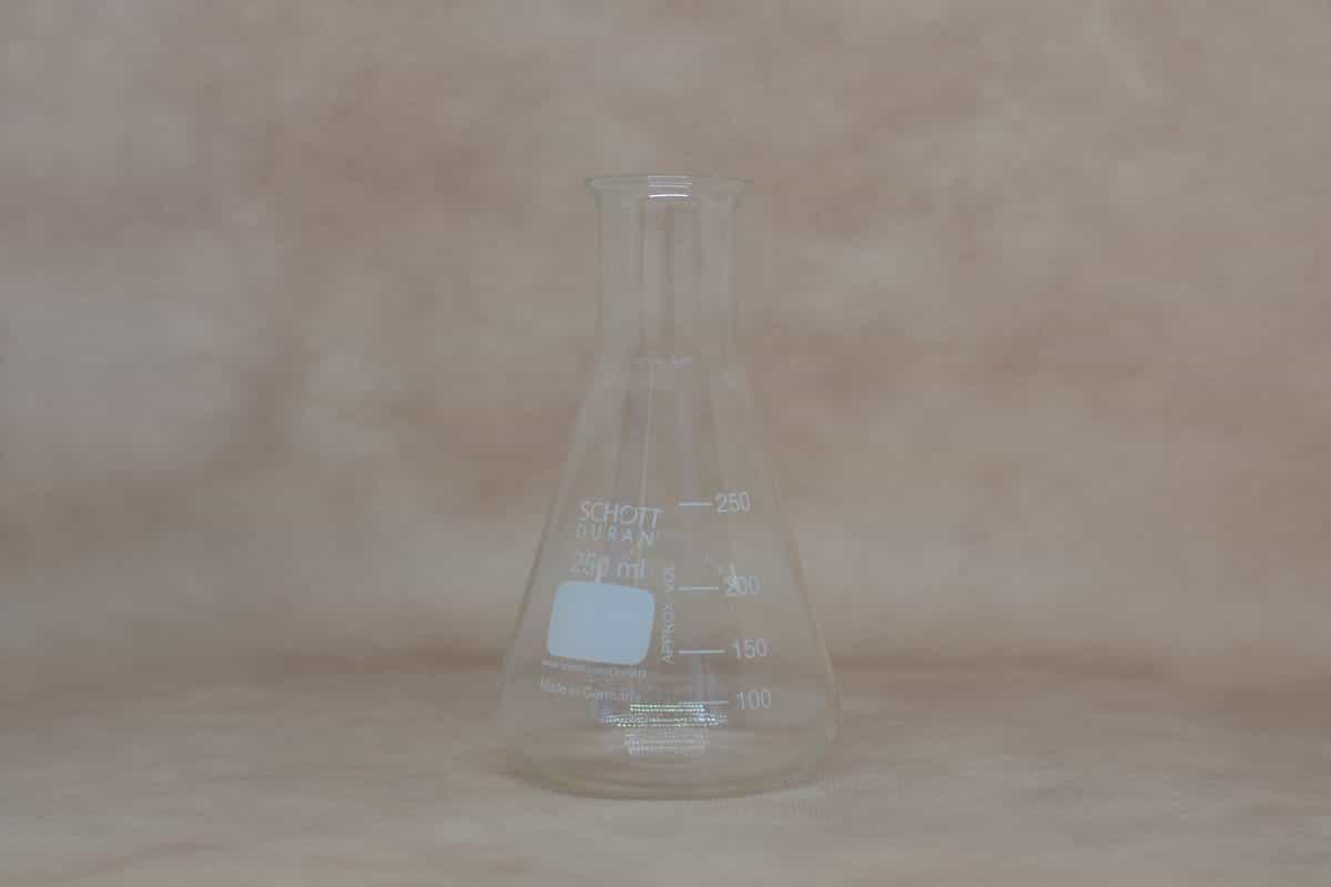 Erlenmeyer