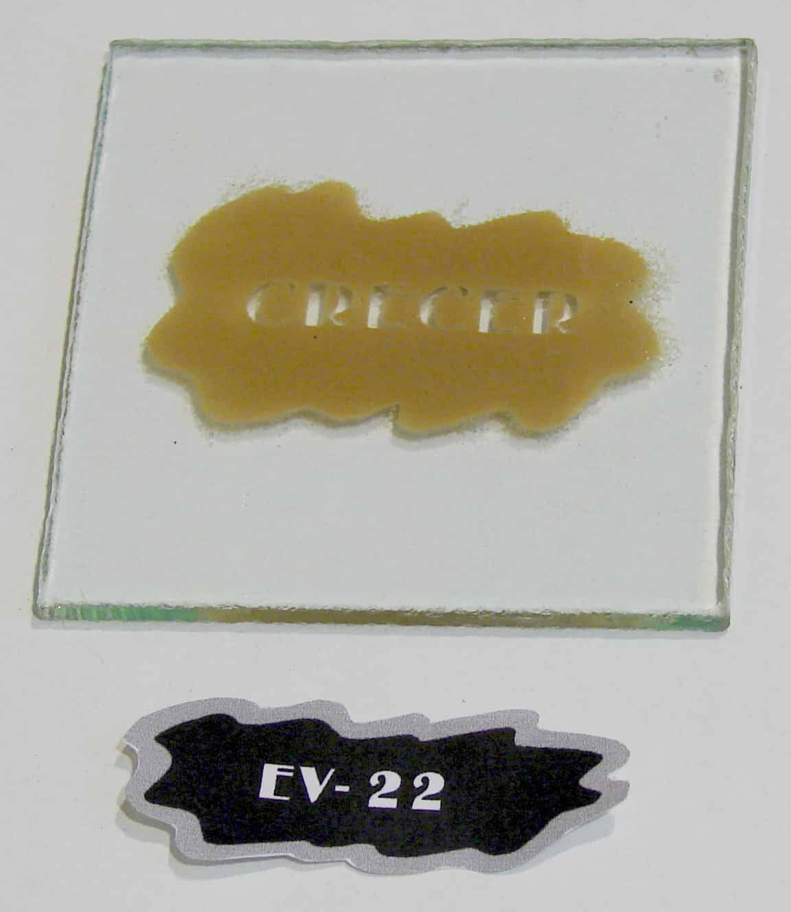 EV - 22