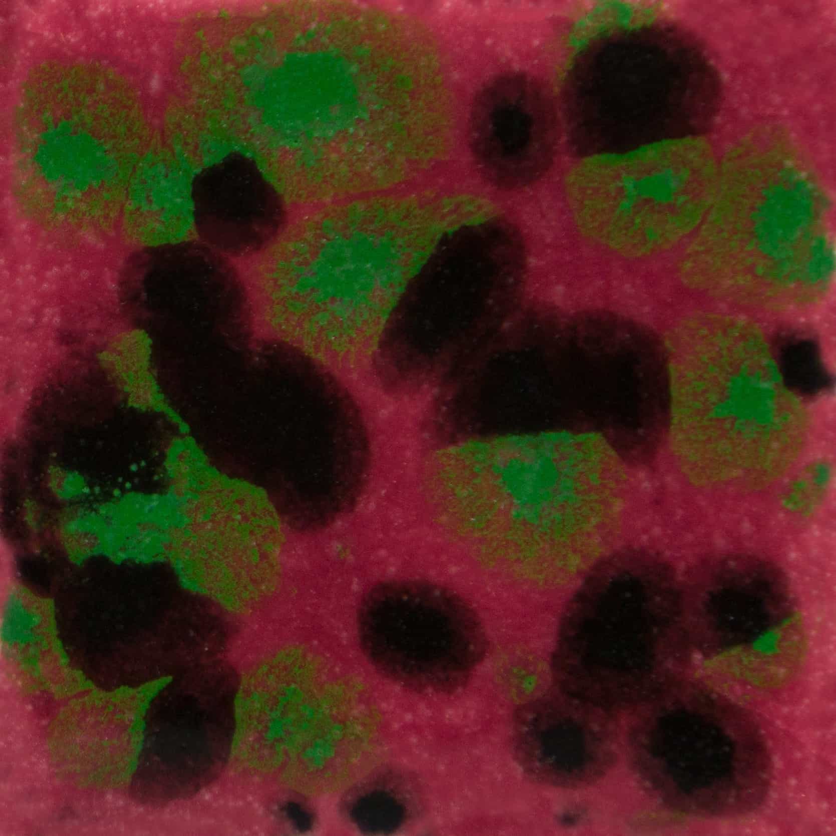 CG10054 - Maroon Lagoon - 4 oz