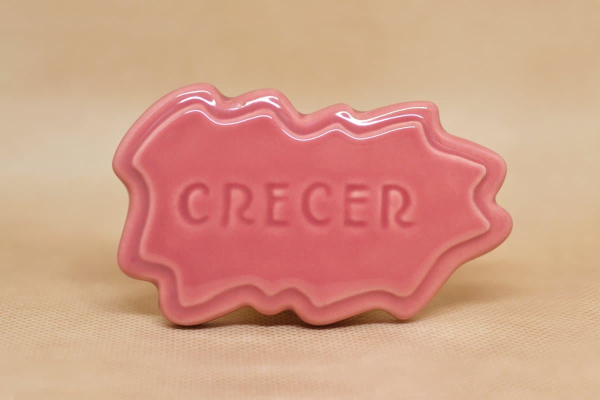 EP 2613/1 x 200 cc - Imagen 1