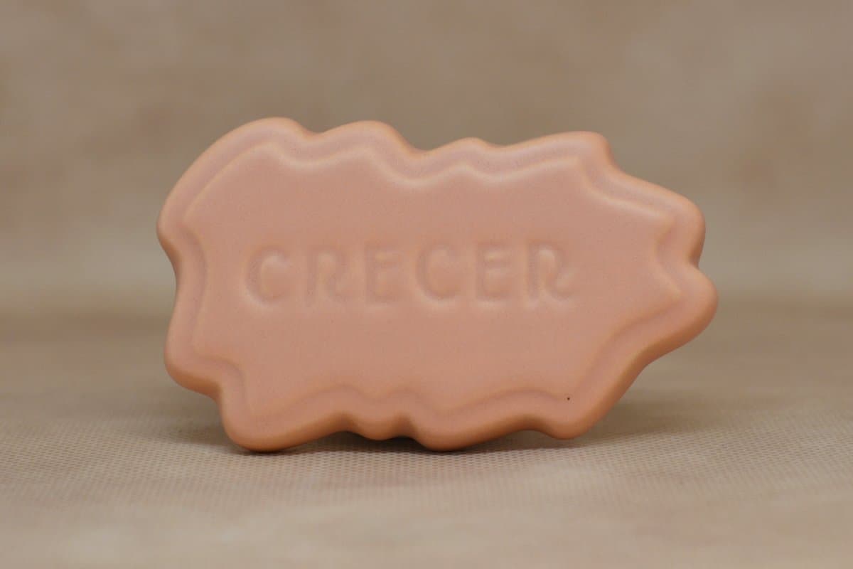 838 (588/6) - Imagen 1