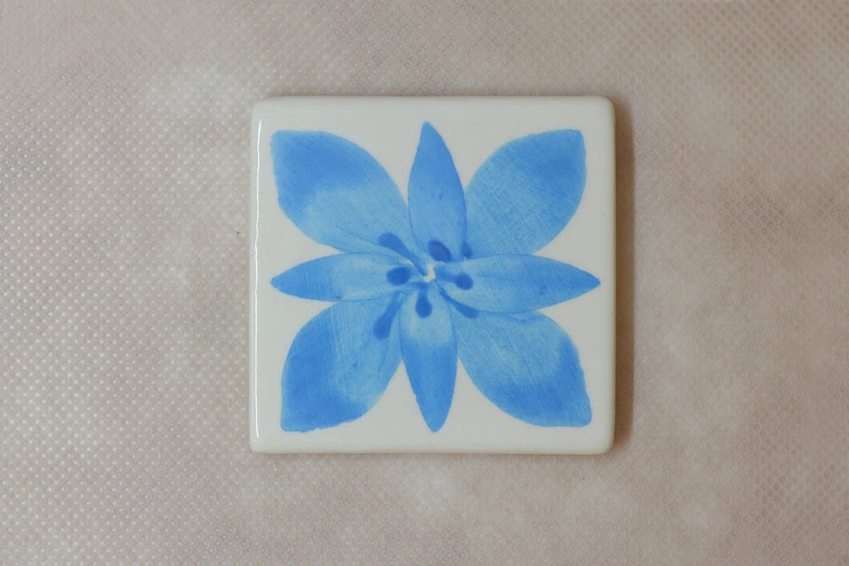 BE - CL - 61 - Imagen 1