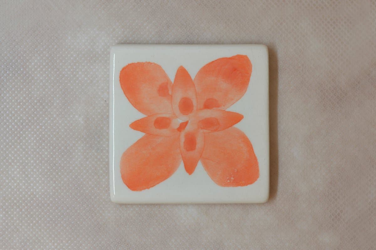 BE - NJ - 55 - Imagen 1