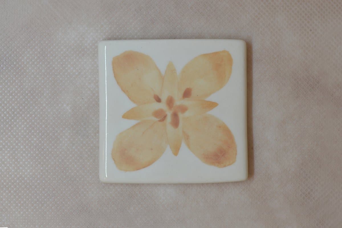 BE - OC - 23 - Imagen 1