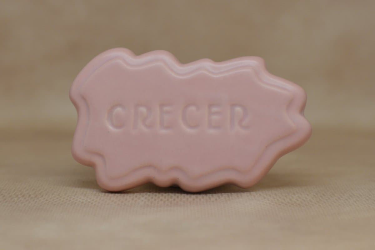 842 (RS-351) - Imagen 1