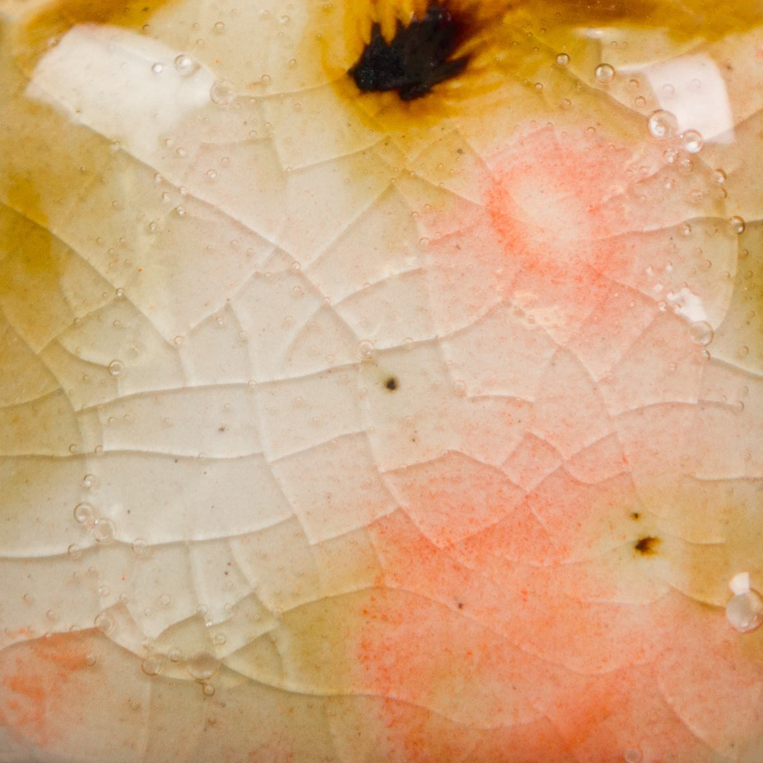 CG1002P - Day Lily - Pint - Imagen 2