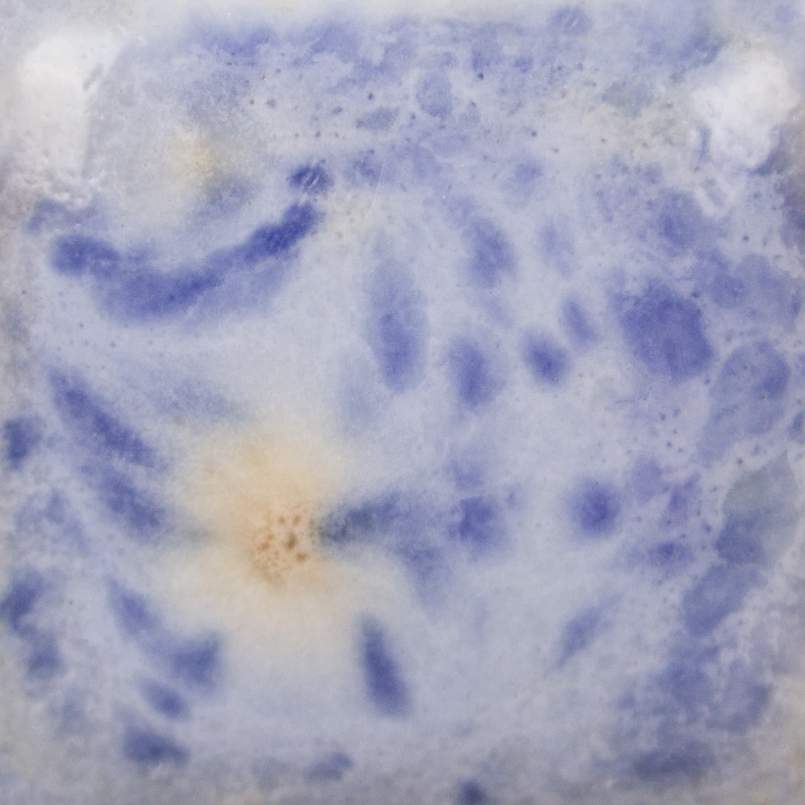 CG10064 - Purple Reign - 4 oz - Imagen 3