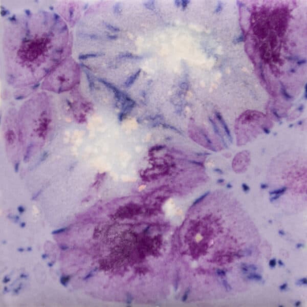 CG10064 - Purple Reign - 4 oz - Imagen 1