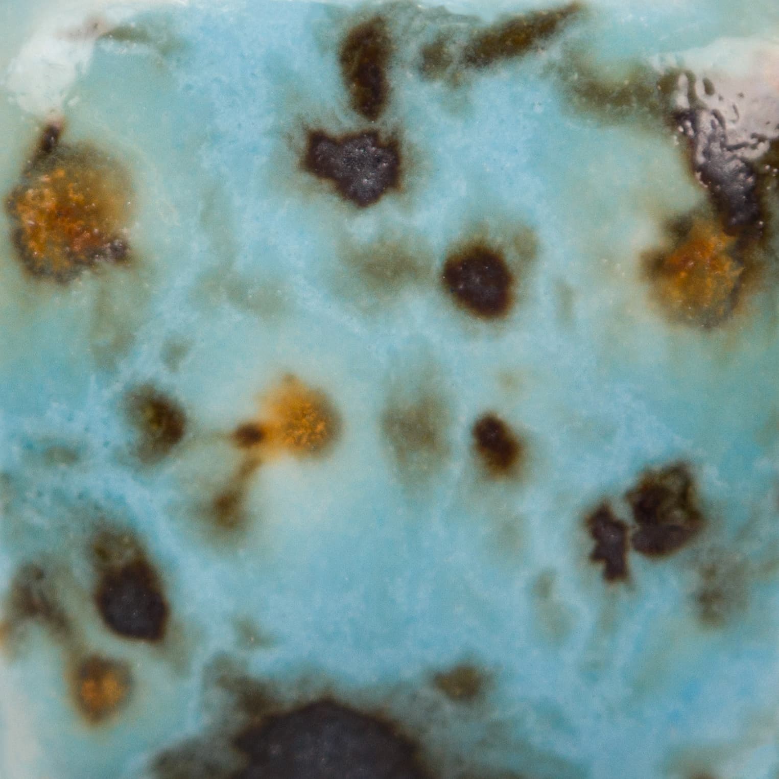 CG10084 - Blue Guppy - 4 oz - Imagen 3