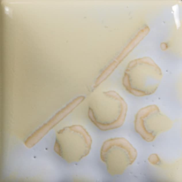 EL1014 - Oyster Shell - 4 oz - Imagen 2