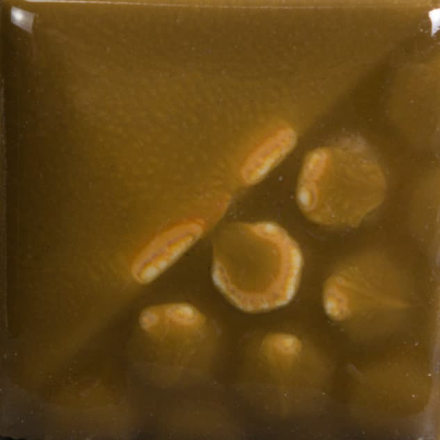 EL113P - Spanish Moss - Pint - Imagen 2