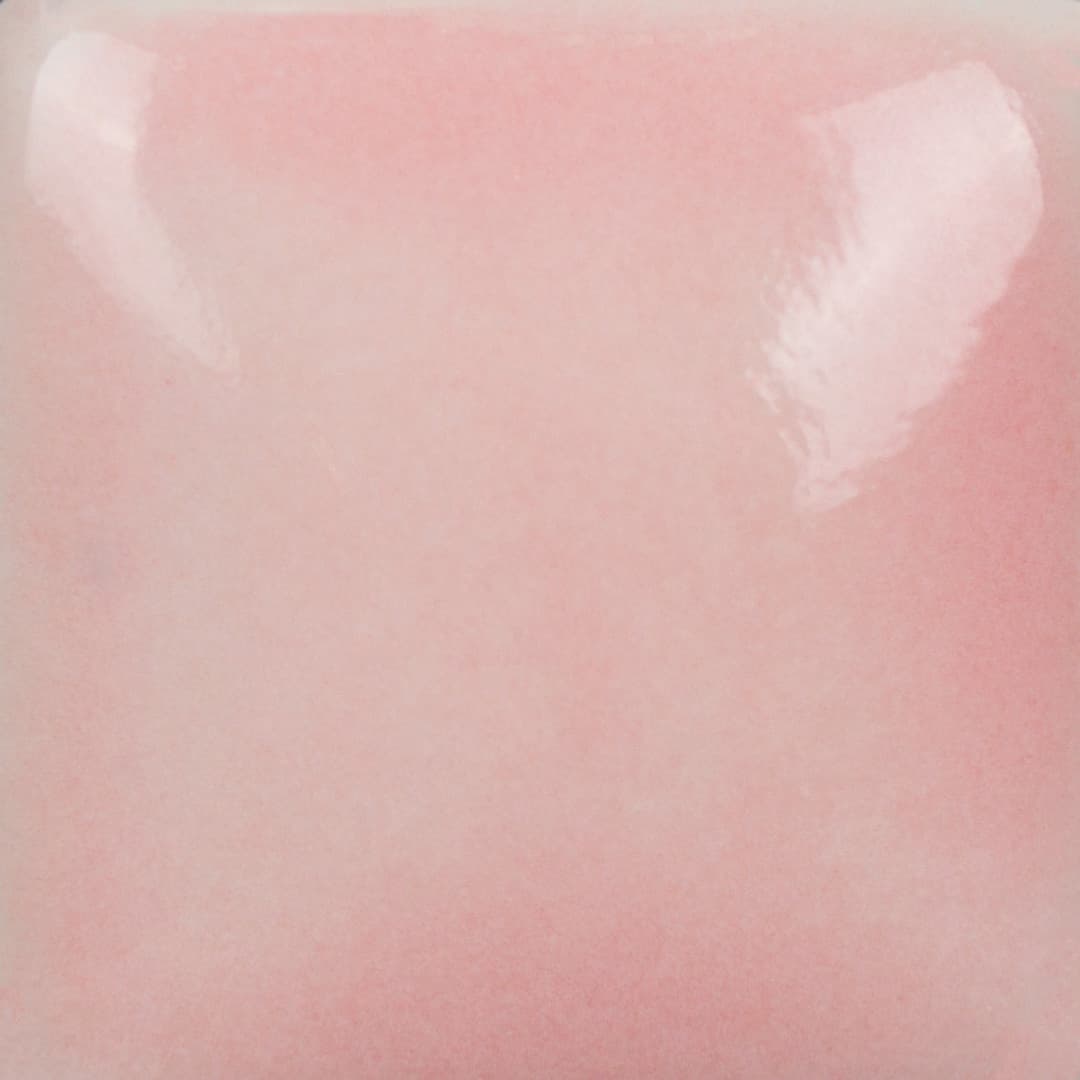 FN005P - Pink - Pint - Imagen 3