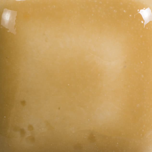 FN205P - Saddle Tan - Pint - Imagen 2