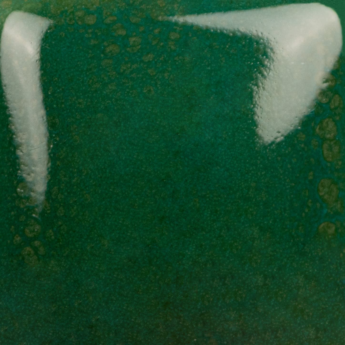 SC0108 - Teal Next Time - 8 oz - Imagen 2