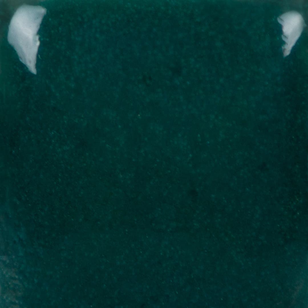 SC0108 - Teal Next Time - 8 oz - Imagen 3