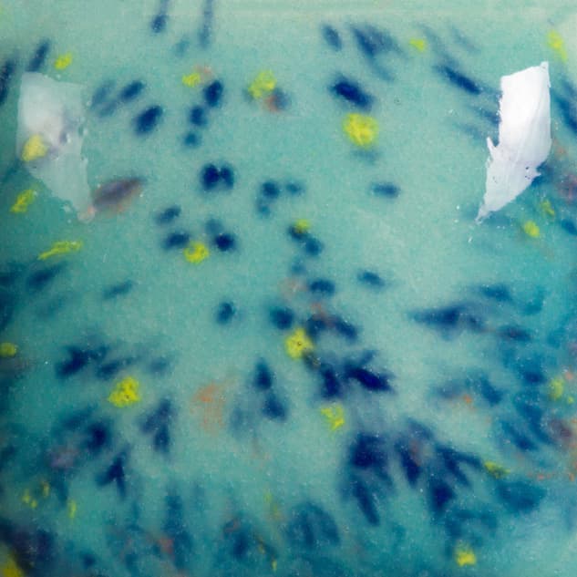 SP209P - Speckled Jaded - Pint - Imagen 2