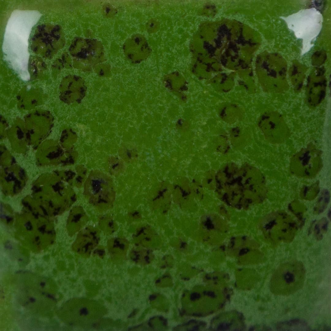 SP2262 - Speckled Green Thumb - 2 oz - Imagen 3