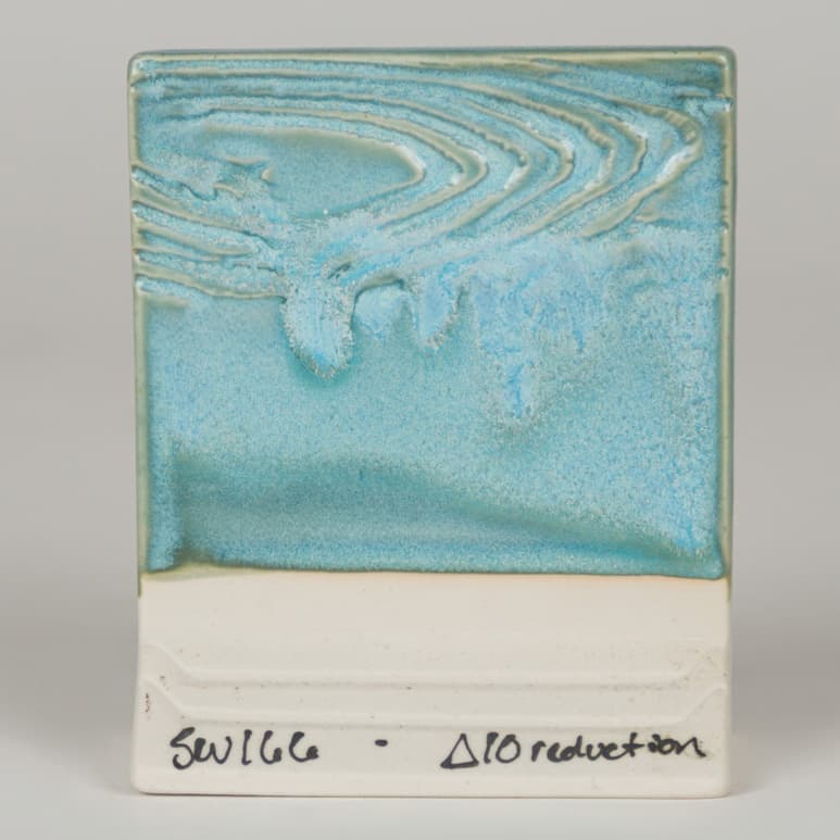 SW166P - Norse Blue - Pint - Imagen 8