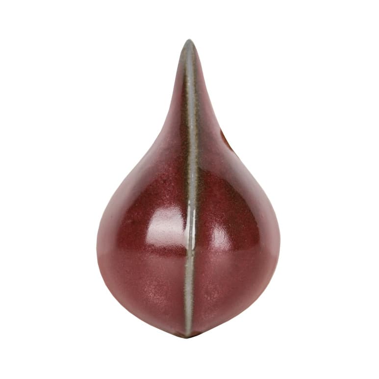 SW177P - Raspberry Mist - Pint - Imagen 12