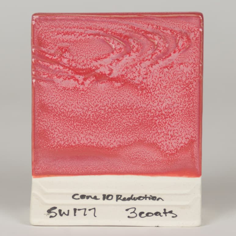 SW177P - Raspberry Mist - Pint - Imagen 8