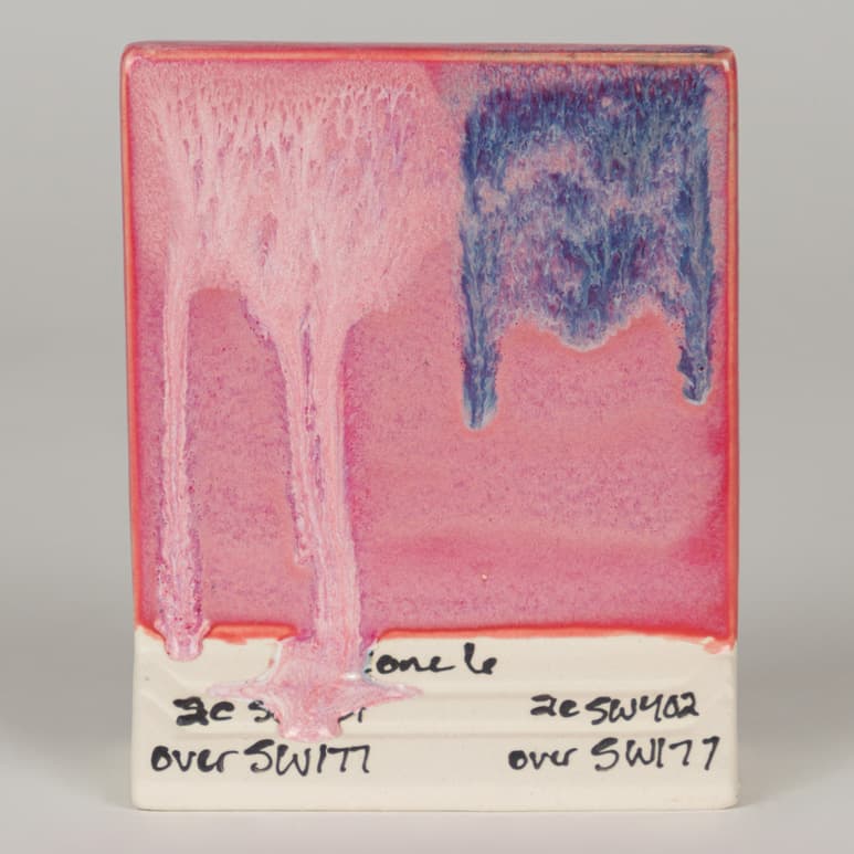 SW177P - Raspberry Mist - Pint - Imagen 9