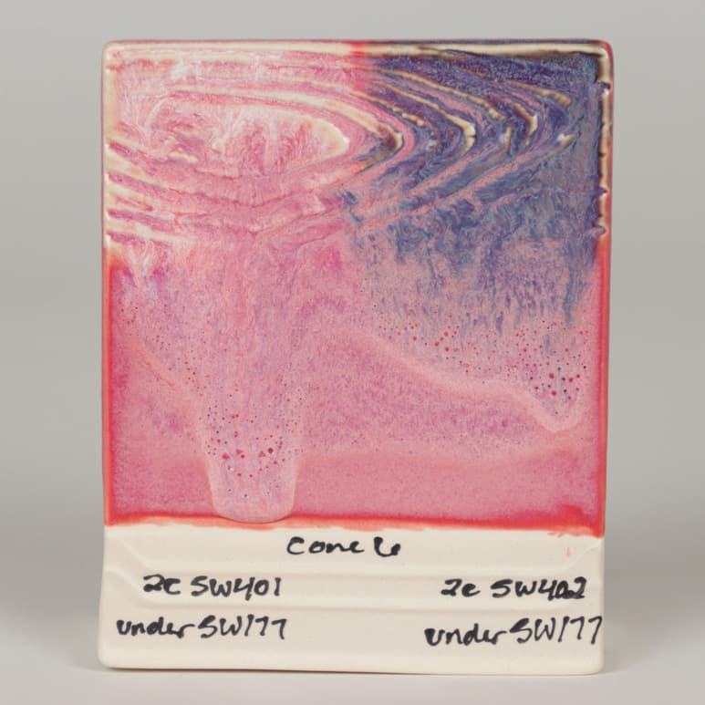 SW177P - Raspberry Mist - Pint - Imagen 10