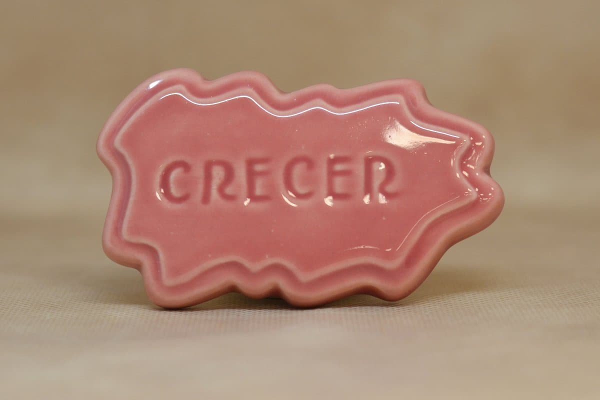 829 (631/2) - Imagen 1