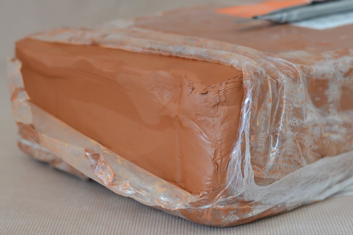 Pasta Roja Tradicional FP - Imagen 2