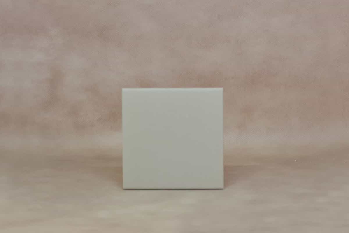 Bizcocho Cerámico 10 x 10 Un.